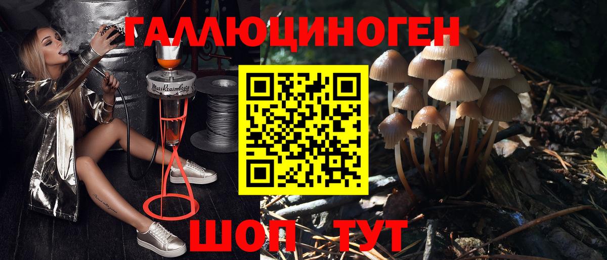 купить наркоту  Псилоцибиновые грибы мицелий  Вход с VPN  Старая Русса  Псилоцибиновые грибы прущие грибы 