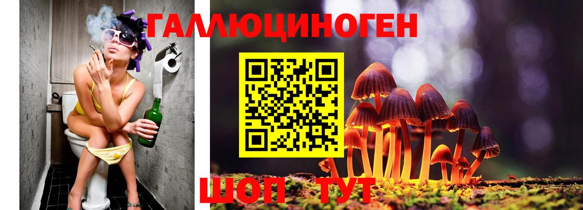 Псилоцибиновые грибы Magic Shrooms Старая Русса